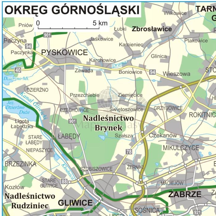 Polska 1:500 000. Podział organizacyjny lasów państwowych. Mapa. Wersja do wpinania wydawnictwa ArtGlob. Fragment 4