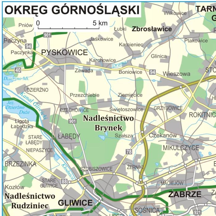 Polska 1:500 000. Podział organizacyjny lasów państwowych. Mapa. Wersja magnetyczna wydawnictwa ArtGlob. Fragment 4