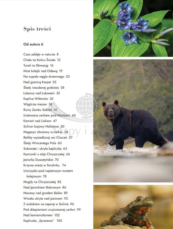 Dzikie Bieszczady. 100 nieznanych miejsc blisko natury. Przewodnik wydawnictwa Bezdroża. Spis treści 1