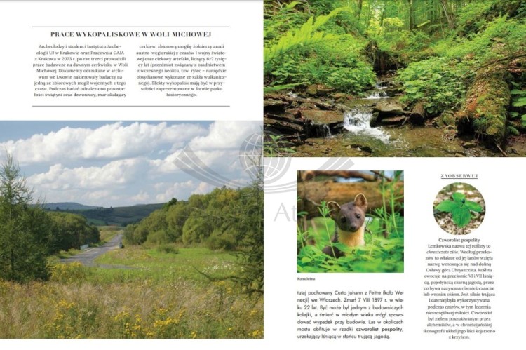 Dzikie Bieszczady. 100 nieznanych miejsc blisko natury. Przewodnik wydawnictwa Bezdroża. Przykładowe strony 2