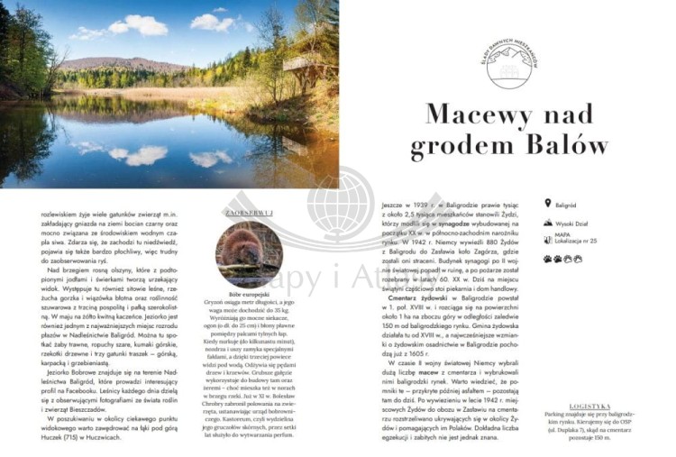 Dzikie Bieszczady. 100 nieznanych miejsc blisko natury. Przewodnik wydawnictwa Bezdroża. Przykładowe strony 6
