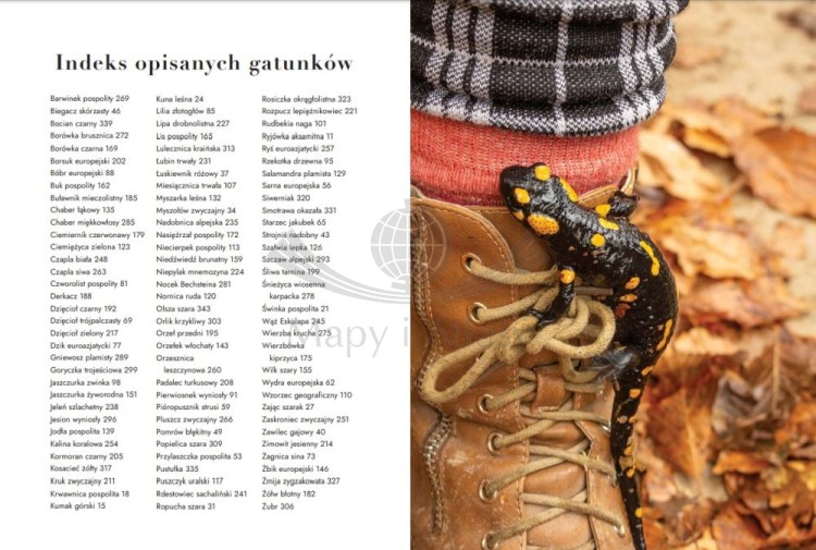 Dzikie Bieszczady. 100 nieznanych miejsc blisko natury. Przewodnik wydawnictwa Bezdroża. Przykładowe strony 7