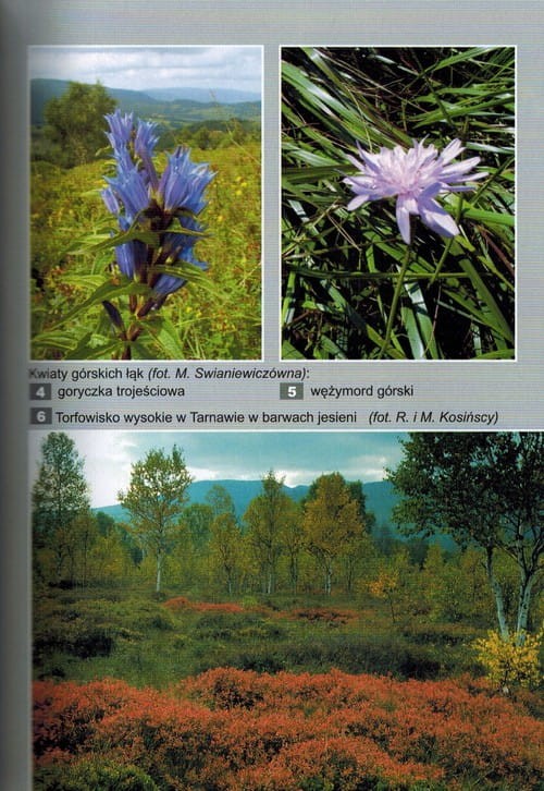 Bieszczady. Przewodnik dla prawdziwego turysty wydawnictwa Rewasz. Przykładowa strona 2