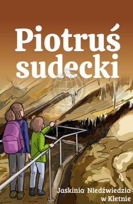 Piotruś sudecki. Karty do gry. Wzór 3 (Jaskinia Niedźwiedzia w Kletnie)