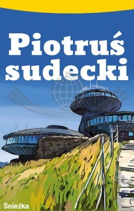 Piotruś sudecki. Karty do gry. Wzór 1 (Śnieżka)