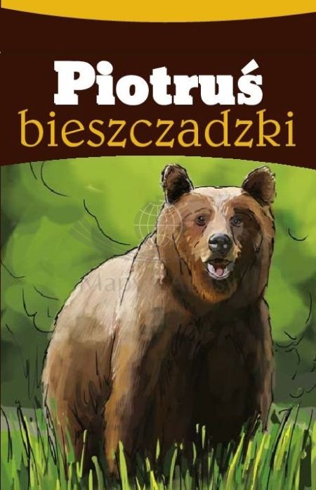 Piotruś bieszczadzki. Karty do gry