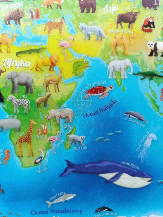 Mapa Świata zwierząt. Podkładka na biurko wydawnictwa Demart. Fragment 1