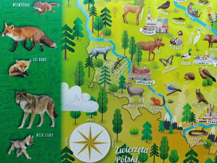 Mapa Polski - zwierzęta. Podkładka na biurko wydawnictwa Demart.