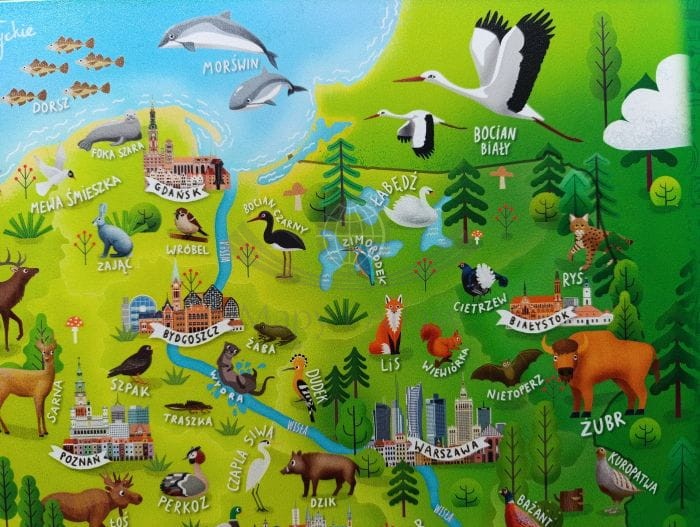 Mapa Polski - zwierzęta. Podkładka na biurko wydawnictwa Demart.