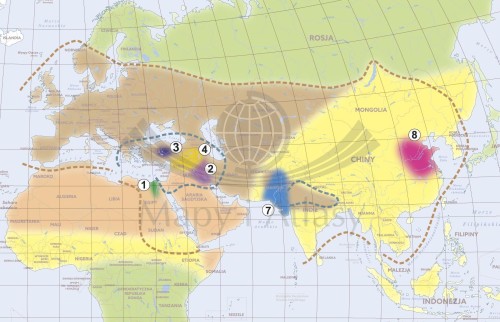 Najstarsze cywilizacje świata. Mapa ścienna. Wersja STRONG. Fragment 1