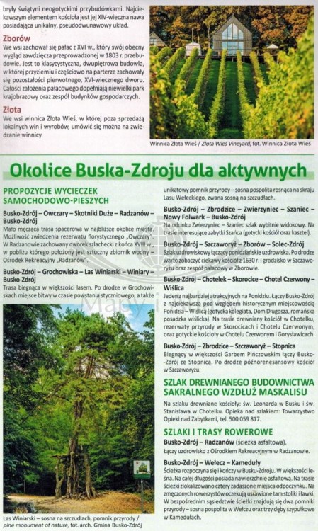 Busko-Zdrój i okolice. Mapa turystyczna / Plan miasta wydawnictwa Compass. Informator