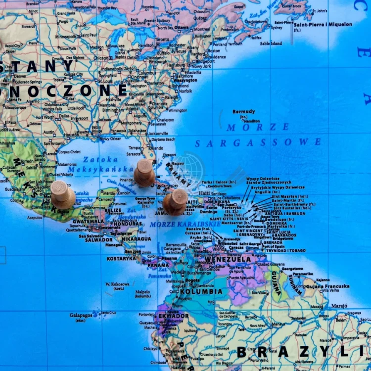 Znaczniki / Szpilki tablicowe pinezki do wpinania, drewniane, cylindryczne. 25 sztuk
