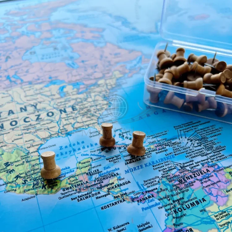 Znaczniki / Szpilki tablicowe pinezki do wpinania, drewniane, cylindryczne. 25 sztuk