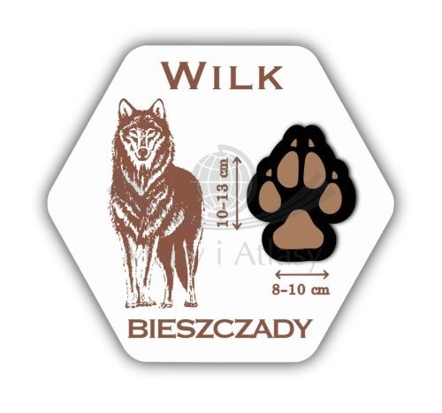 Magnes drewniany "Bieszczady - łapa wilka"