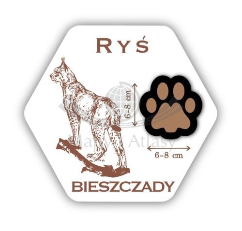 Magnes drewniany "Bieszczady - łapa rysia"
