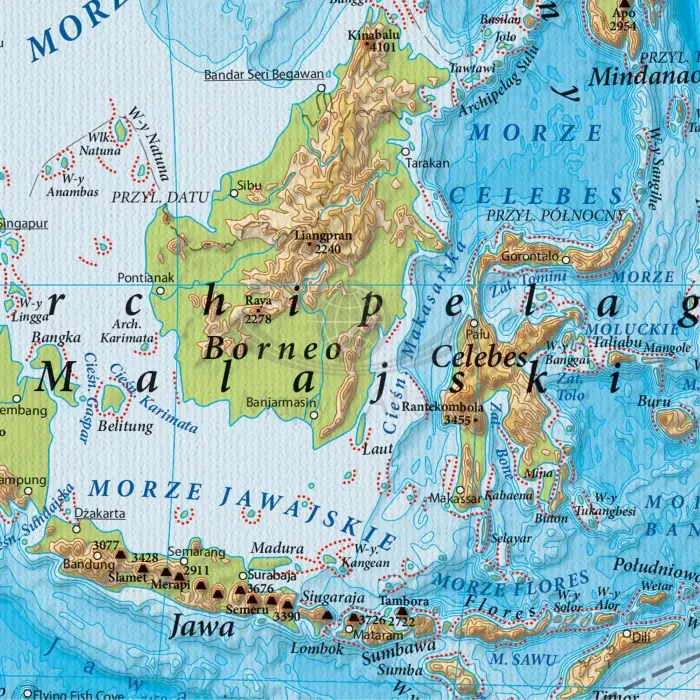 Świat 1:25 000 000. Mapa ścienna fizyczna. Na płótnie Canvas. Fragment 3