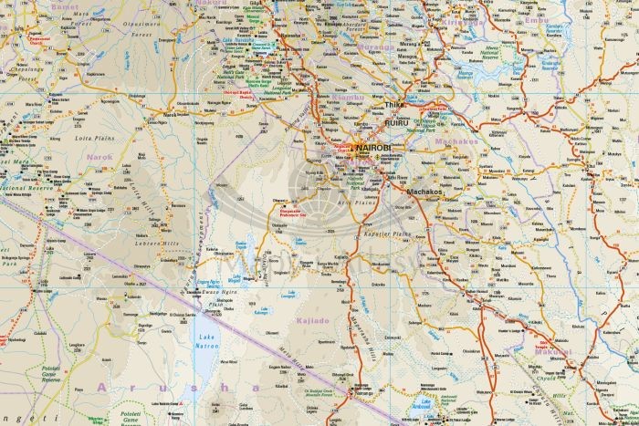 Kenia 1:950 000. Wodoodporna mapa samochodowo-turystyczna wydawnictwa Reise Know-How. Fragment