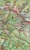 Alpy Karnickie / Lienzer Dolomiten, Lesachtal, Villgratner Berge. Wodoodporna mapa turystyczna WK 182 wydawnictwa Freytag & Berndt. Fragment 1