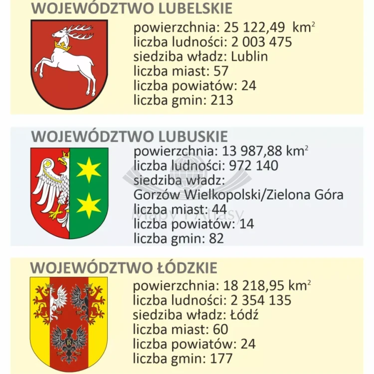 Polska 1:1 000 000. Mapa administracyjna. Wersja magnetyczna. Fragment 4