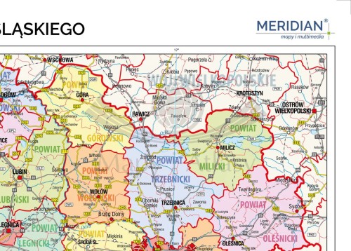 Województwo dolnośląskie 1:165 000. Mapa ścienna administracyjna. Drewniane półwałki. Fragment 1