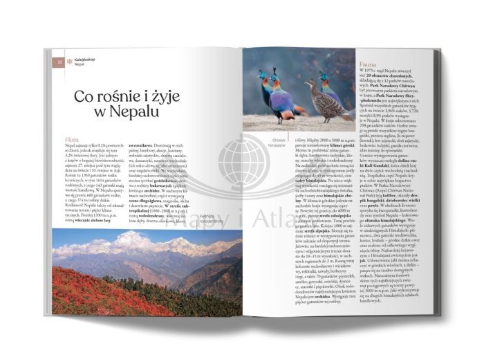 Nepal i Bhutan. Przewodnik z mapą wydawnictwa Pascal GOLD. Fragment
