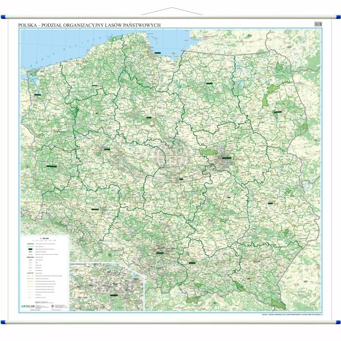 Polska 1:500 000. Mapa ścienna. Podział organizacyjny lasów państwowych.