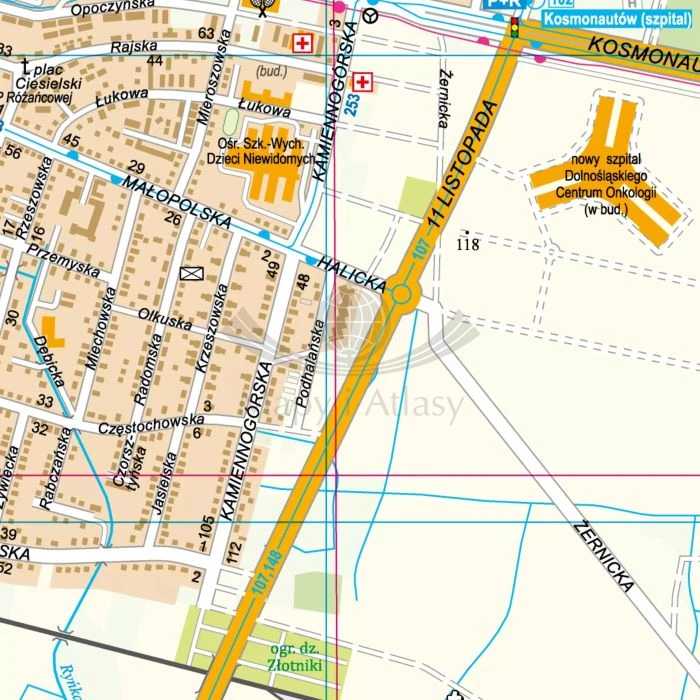 Polska 1:500 000. Mapa ścienna. Podział organizacyjny lasów państwowych wydawnictwa ArtGlob. Fragment 4
