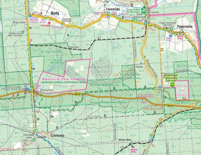 Puszcza Białowieska i okolice. Mapa turystyczna wydawnictwa Compass. fragment