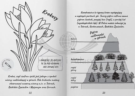 Dziennik górskich wypraw. Bezdroża. Przykładowe strony 2