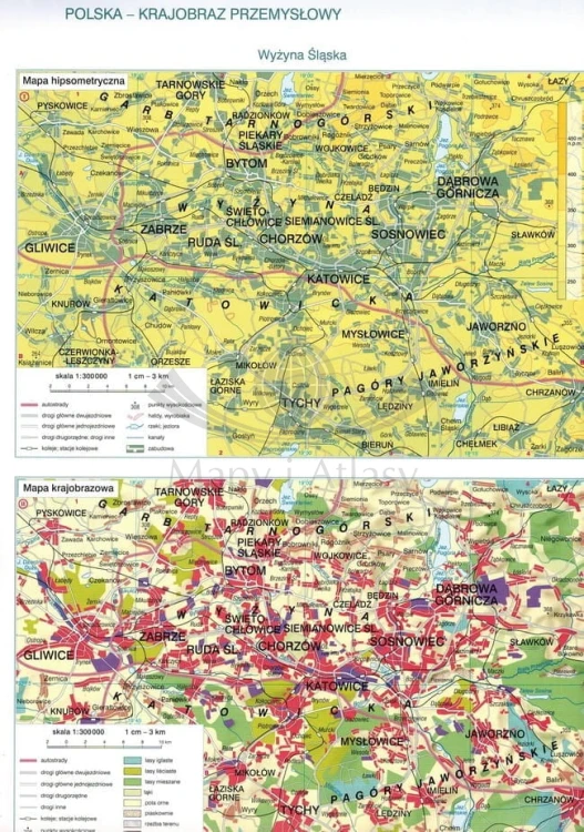 Atlas geograficzny dla klas 5-8 szkoły podstawowej. Nowa podstawa programowa. Wydawnictwo: Nowa Era. Przykładowa strona 1