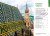 Wiedeń / Vienna. Przewodnik Pocket z mapą wydawnictwa Lonely Planet. Spis treści