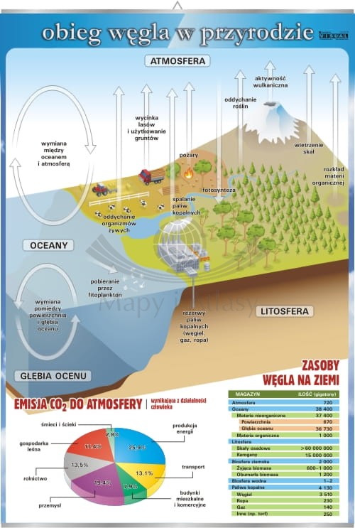 Obieg węgla w przyrodzie. Plansza edukacyjna