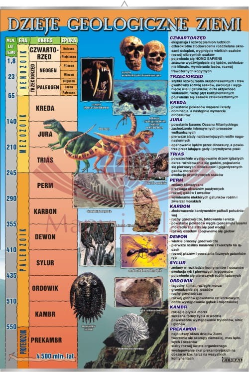 Dzieje geologiczne Ziemi. Plansza edukacyjna