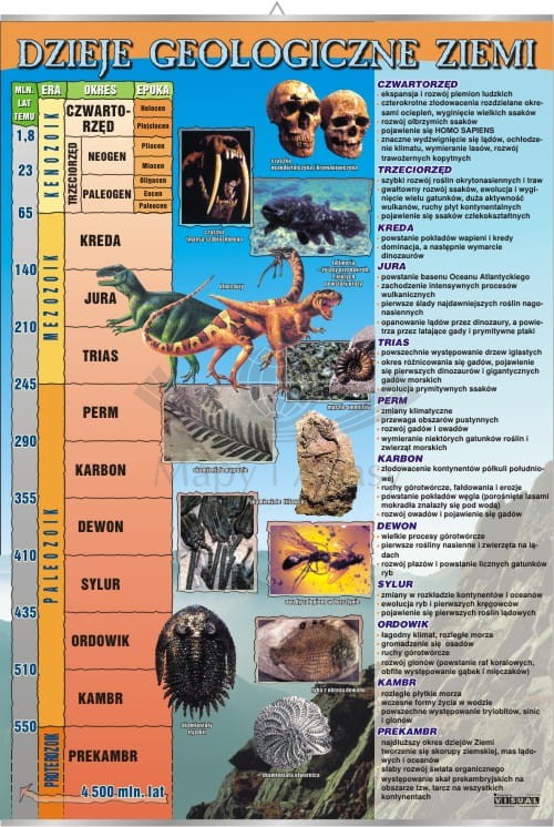 Dzieje geologiczne Ziemi.jpg