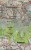 Der Dachstein, Filzmoos,Ramsau. Wodooporna mapa turystyczna 031 wydawnictwa Kompass. Fragment 1