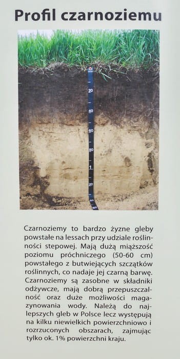 Polska - rodzaje gleb 1:650 000. Mapa ścienna wydawnictwa Meridian. Fragment 5