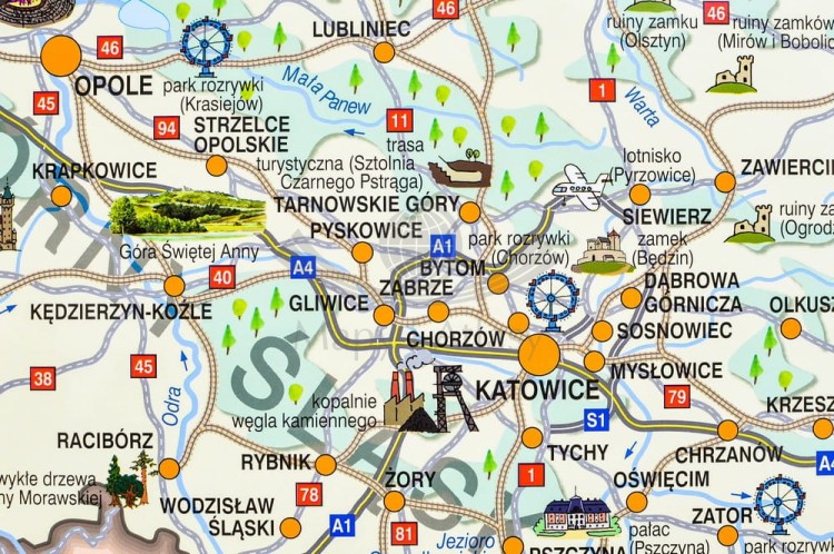 Polska Niezwykła Demart (5) a.jpg