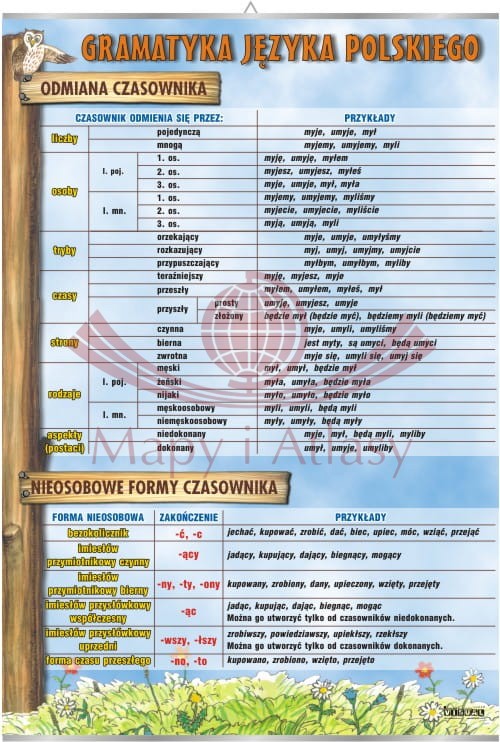 Odmiana czasownika, nieosobowe formy czasownika. Plansza edukacyjna