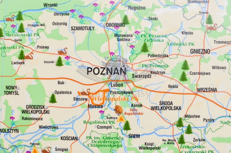 Polska. Dwustronna mapa ścienna krajoznawcza. Wydawnictwo: Meridian. Przyroda - fragment 3