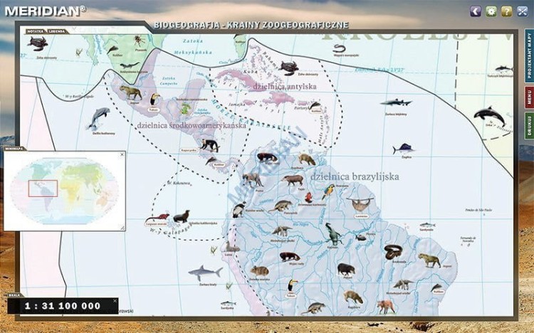 big_Krainy-zoogeograficzne.jpg