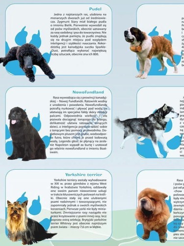 Rasy psów. Plansza edukacyjna. Drewniane półwałki