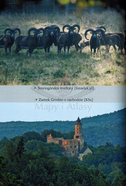 Góry Sowie. Przewodnik wydawnictwa Rewasz. Przykładowa strona 3