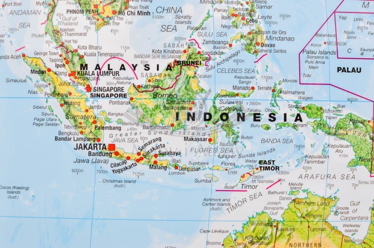 Świat 1:30 000 000. Mapa fizyczna z elementami środowiska w ramie drewnianej. Wydawnictwo: Maps International. Fragment 2