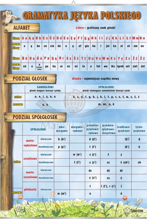 Alfabet, podział głosek, podział spółgłosek.jpg