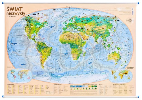 Świat Niezwykły Demart (1).jpg