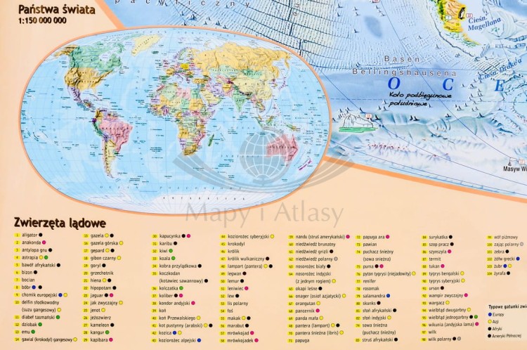 Świat Niezwykły Demart (2).jpg