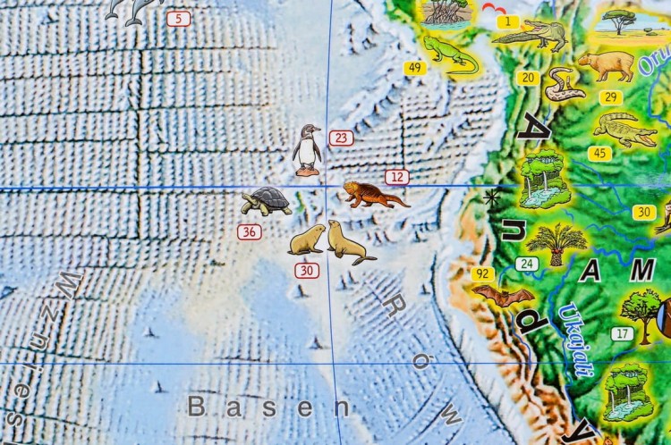 Świat Niezwykły Demart (5).jpg