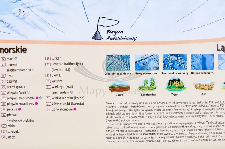 Świat Niezwykły Demart (7).jpg
