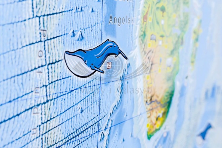 Świat Niezwykły Demart (8).jpg