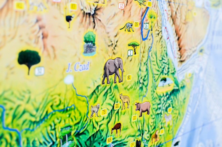 Świat Niezwykły Demart (9).jpg